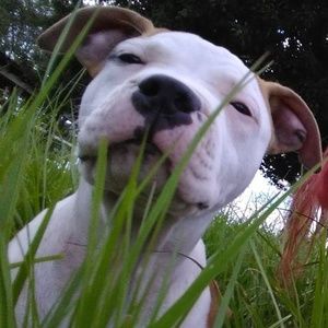 Meet your Posher, April